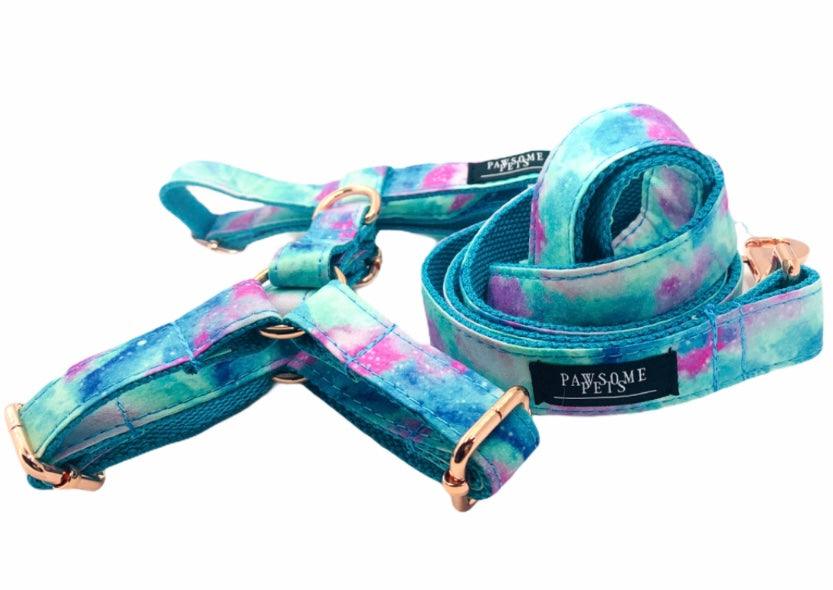 Step-In Dog Harness & Leash Bundle – Sky Blue (2 Pieces)