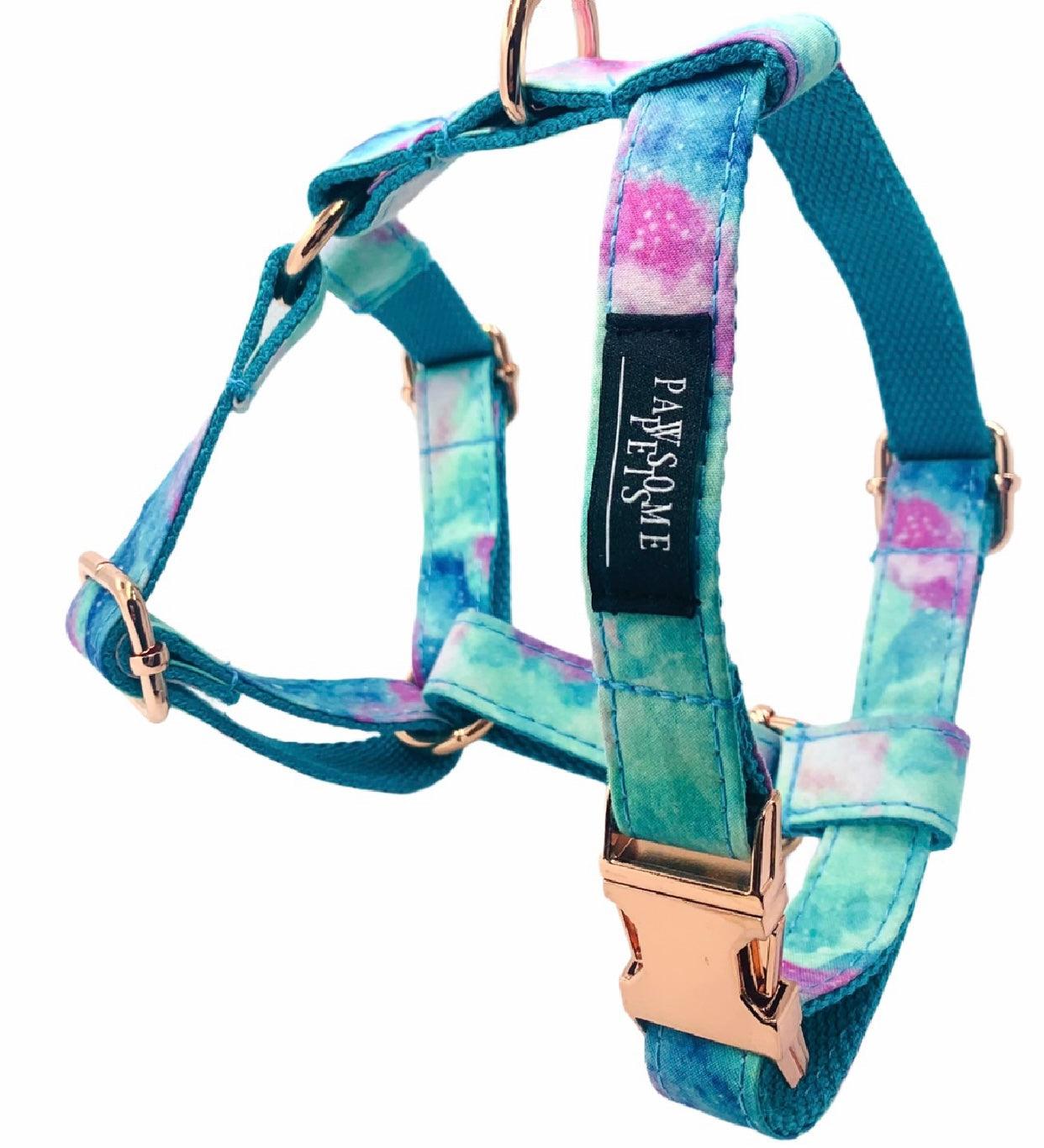 Step-In Dog Harness & Leash Bundle – Sky Blue (2 Pieces)