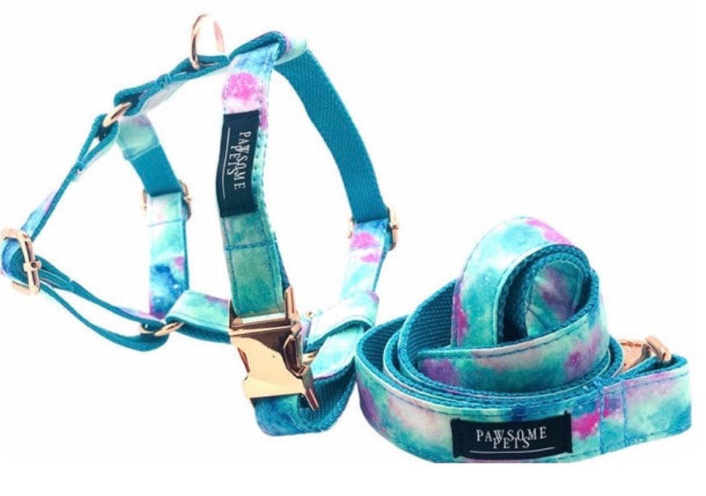 Step-In Dog Harness & Leash Bundle – Sky Blue (2 Pieces)