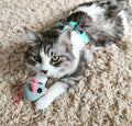 Step-In Dog Harness & Leash Bundle – Sky Blue (2 Pieces)