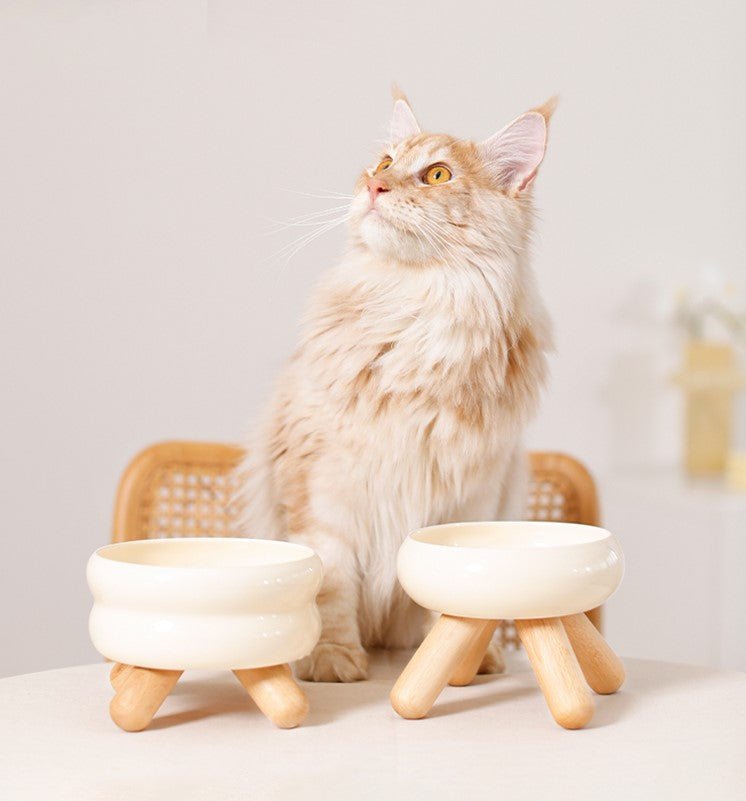 Elevated Ceramic Pet Food Bowl with Natural Wood Stand – Microwave & Dishwasher Safe