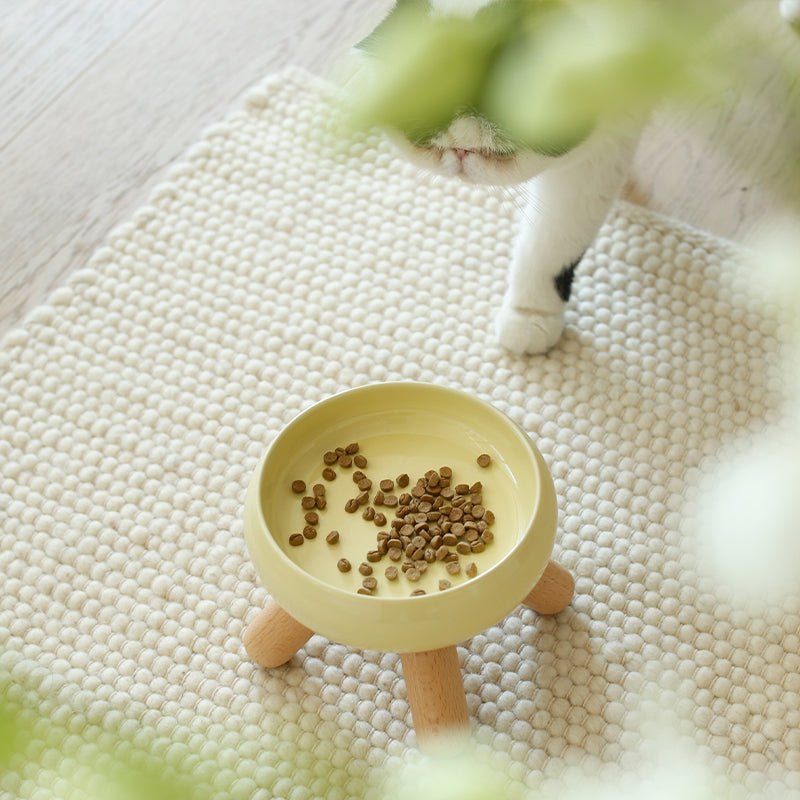 Elevated Ceramic Pet Food Bowl with Natural Wood Stand – Microwave & Dishwasher Safe